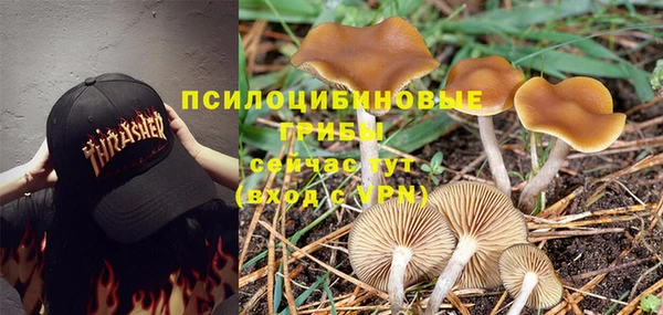 ALPHA-PVP Баксан