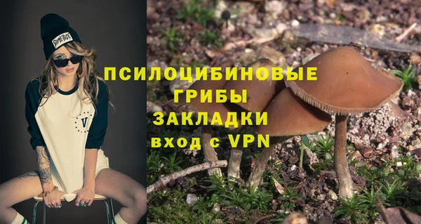 дурь Россошь