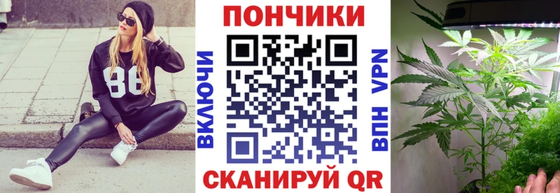 цена   Котовск  это какой сайт  Бошки Шишки OG Kush 